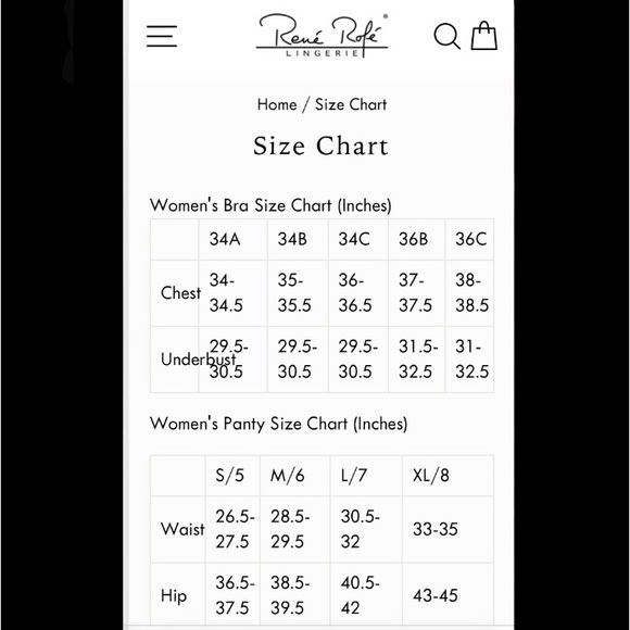 🆕 Reńe Rofe Crotchless Lace V-Thong - Picture 5 of 6